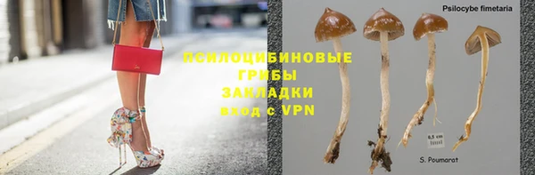 бошки Абинск