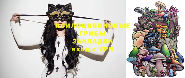 бошки Абинск